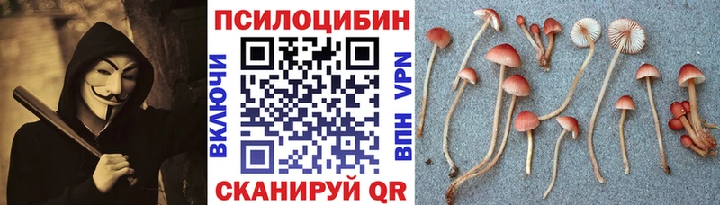 Псилоцибиновые грибы MAGIC MUSHROOMS  закладка  Починок 